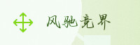 权威伙伴